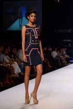 Model walk the ramp for Ranna Gill show at LFW 2013 Day 1 in Grand Haytt, Mumbai on 23rd Aug 2013 (208).JPG